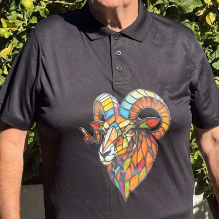 Commemorative Bowls Polo Shirt